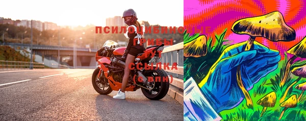 марки nbome Заводоуковск