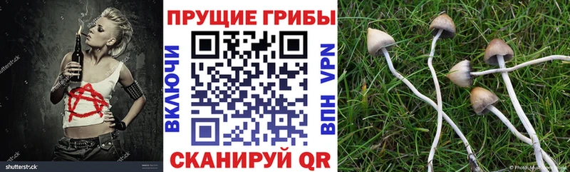 Купить  Калининец  Псилоцибиновые грибы ЛСД 