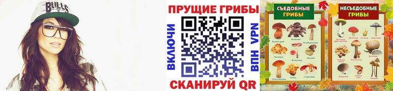 Псилоцибиновые грибы Magic Shrooms Калининец